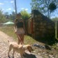 con mi mami de paseo 
